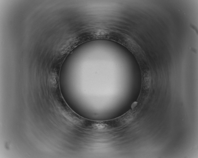 X0000101700654200807101538