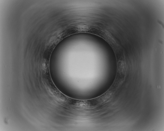 X0000101700655200807101538