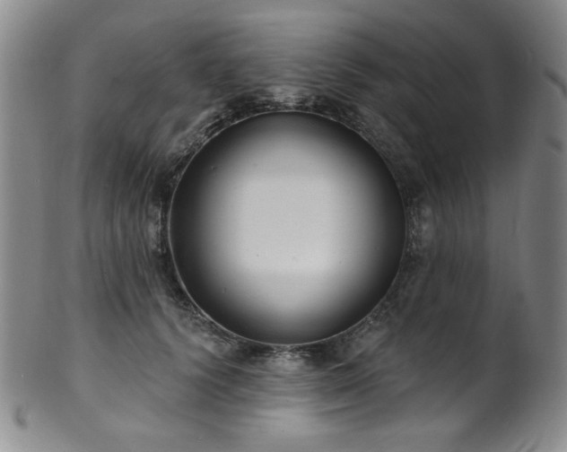 X0000101700656200807101538