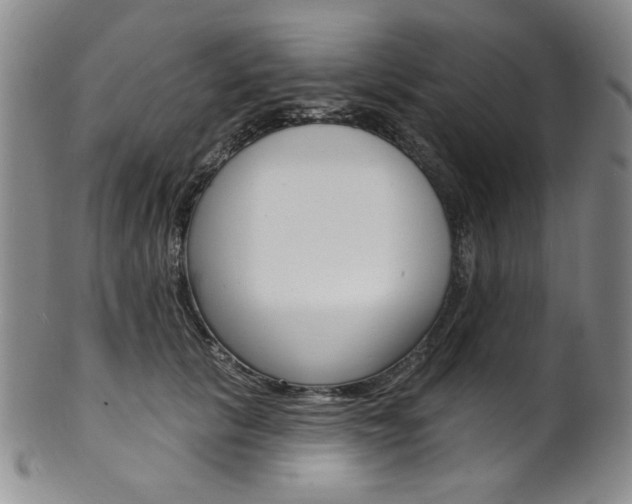 X0000101700657200807101538