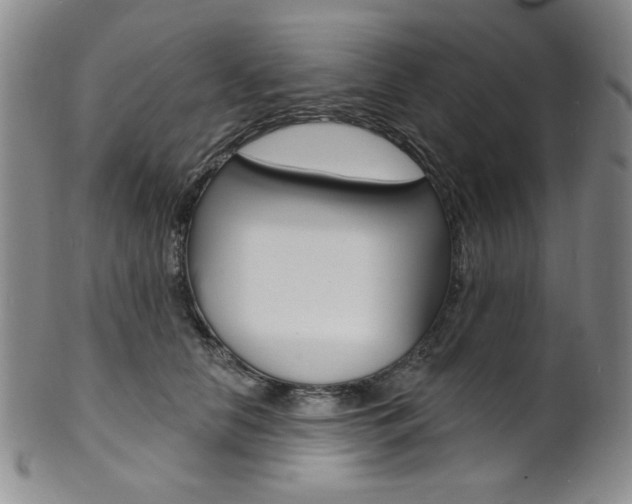 X0000101700658200807101538