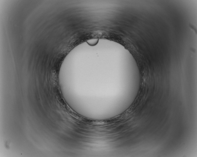 X0000101700659200807101538