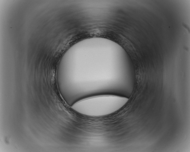 X0000101700660200807101538