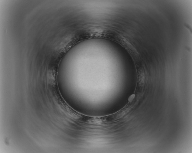 X0000101700661200807101538