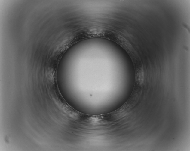 X0000101700662200807101538