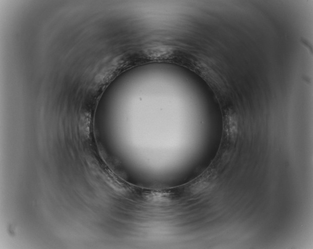 X0000101700664200807101538