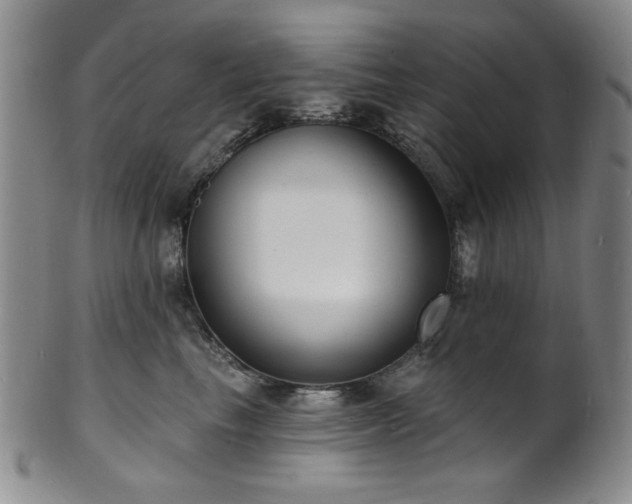 X0000101700665200807101538