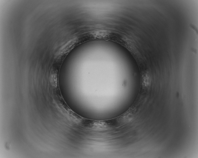 X0000101700666200807101538