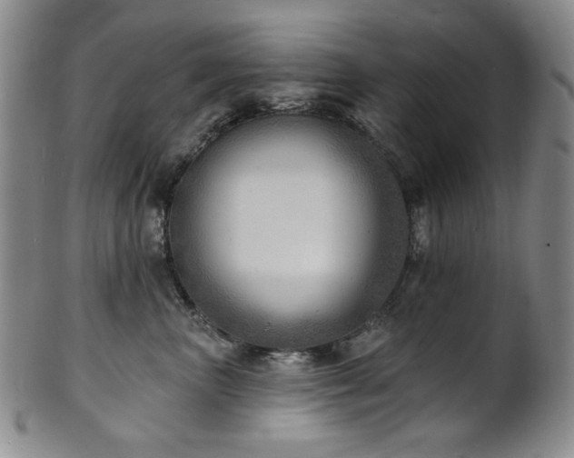 X0000101700667200807101538