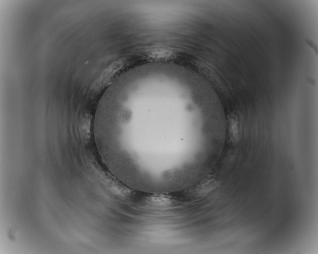 X0000101700668200807101538