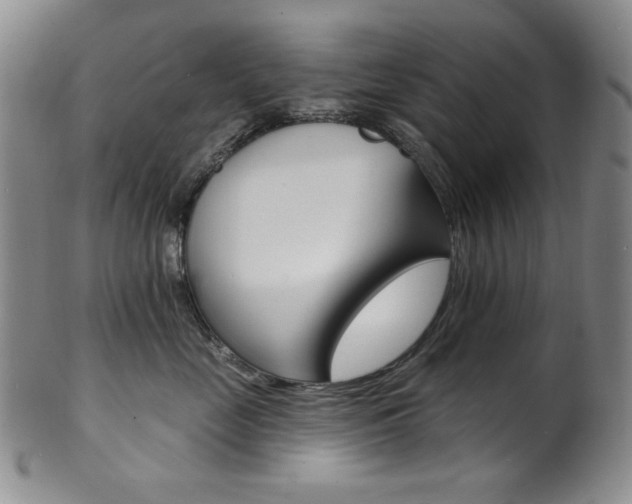 X0000101700669200807101538