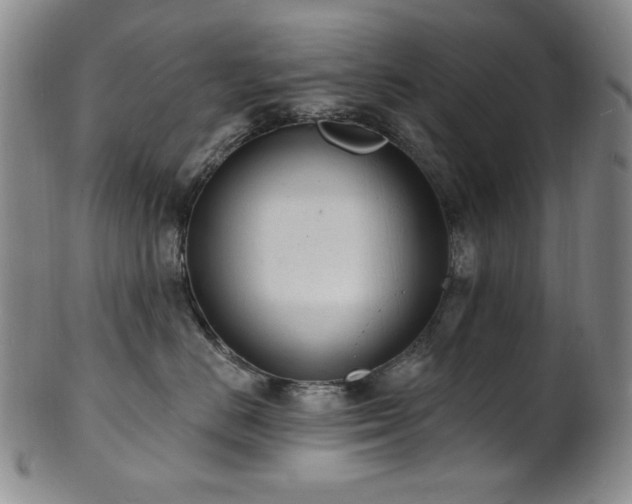X0000101700670200807101538