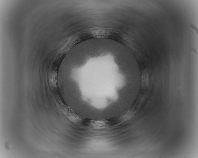 X0000101700671200807101538