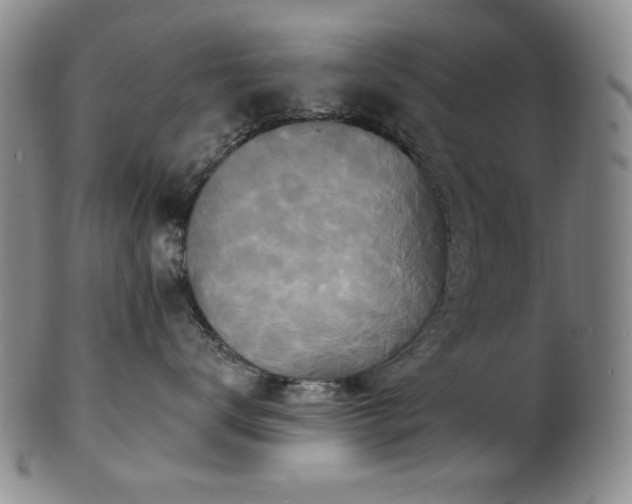 X0000101700672200807101538