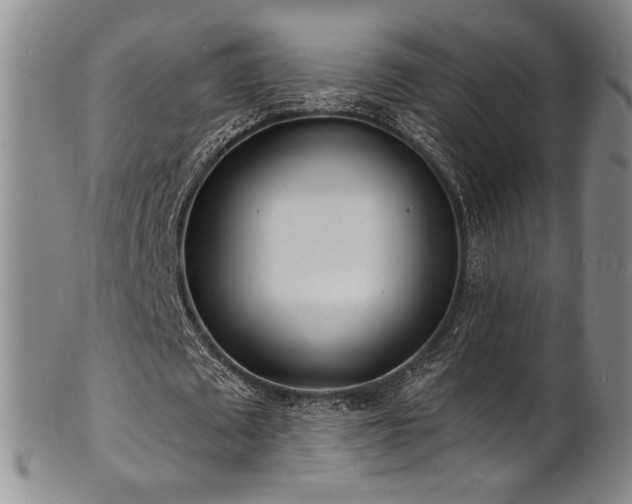 X0000101700673200807101537