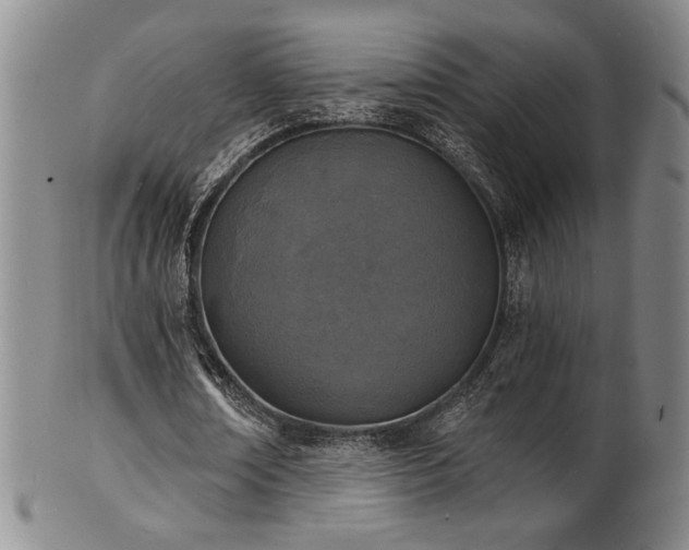 X0000101700674200807101537