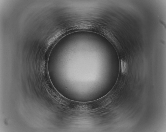 X0000101700675200807101537