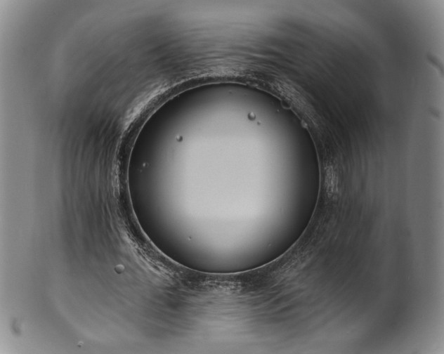 X0000101700676200807101537