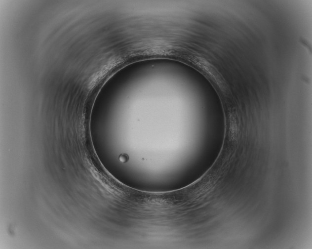 X0000101700677200807101537