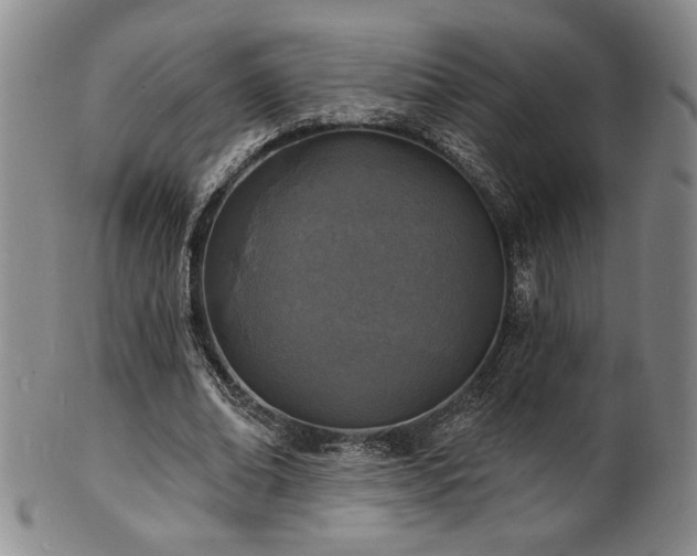 X0000101700678200807101537