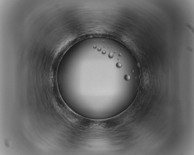 X0000101700680200807101537
