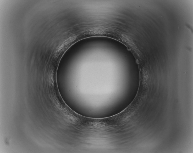 X0000101700681200807101537