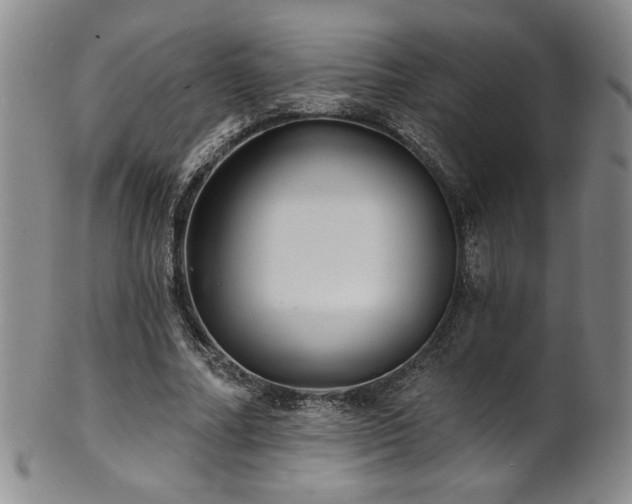 X0000101700682200807101537