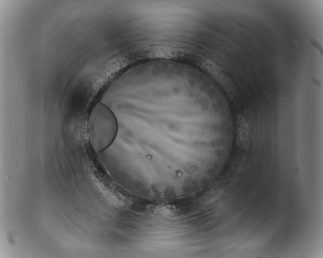 X0000101700683200807101537