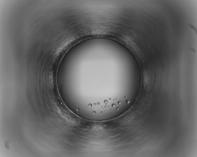 X0000101700684200807101537