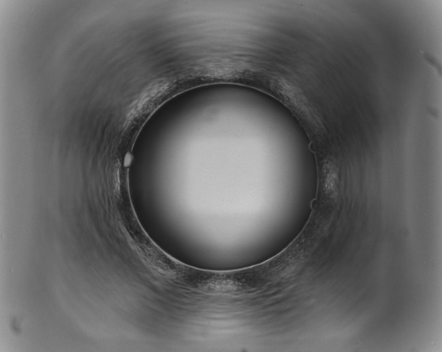 X0000101700685200807101537
