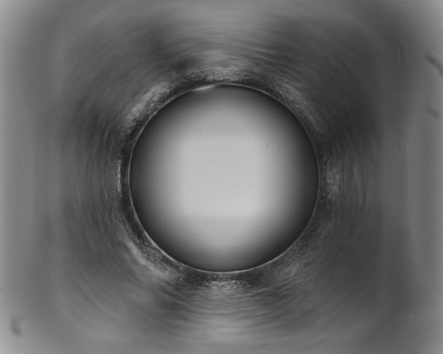 X0000101700686200807101537