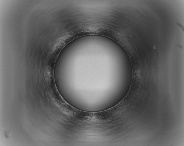 X0000101700688200807101537
