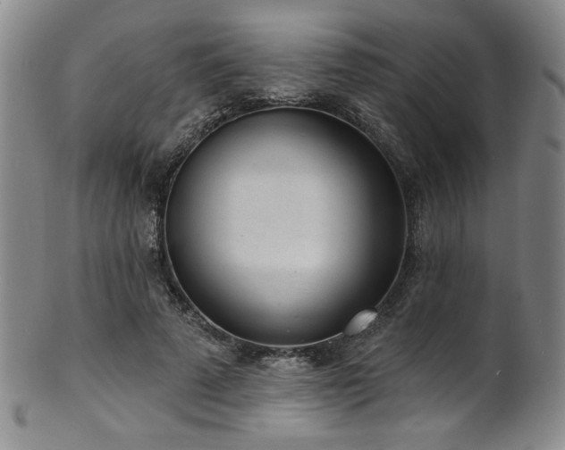 X0000101700689200807101537