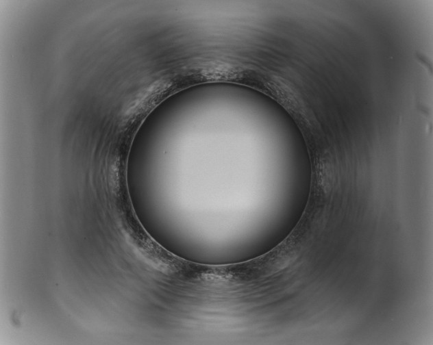 X0000101700690200807101537