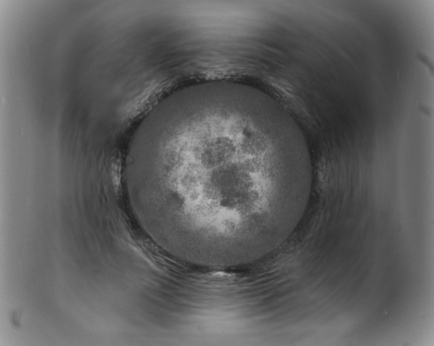 X0000101700691200807101537