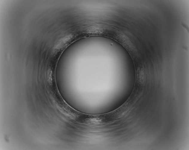 X0000101700692200807101537