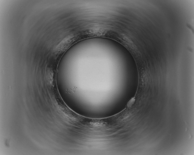 X0000101700693200807101537