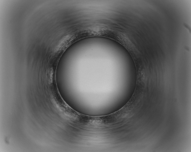 X0000101700694200807101537