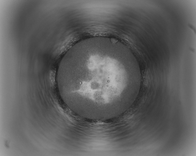 X0000101700695200807101537