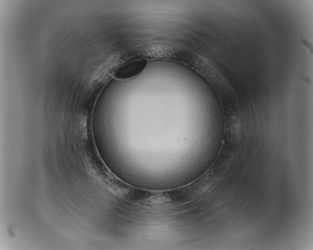 X0000101700696200807101537