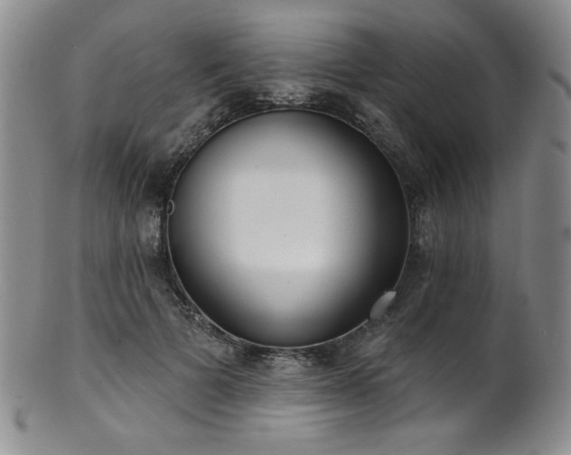 X0000101700697200807101537