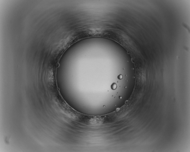 X0000101700700200807101537