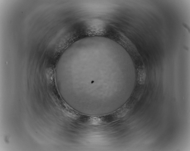 X0000101700701200807101537