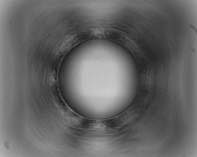 X0000101700702200807101537