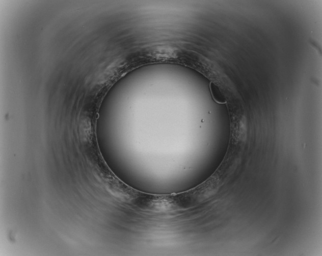 X0000101700704200807101537