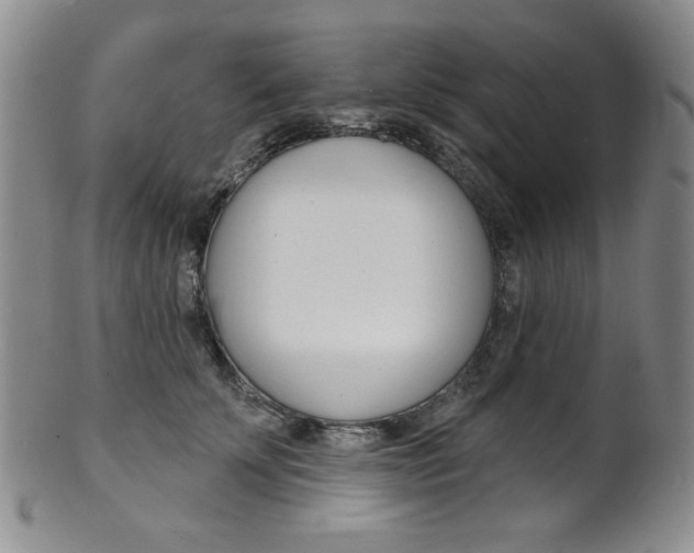 X0000101700707200807101537