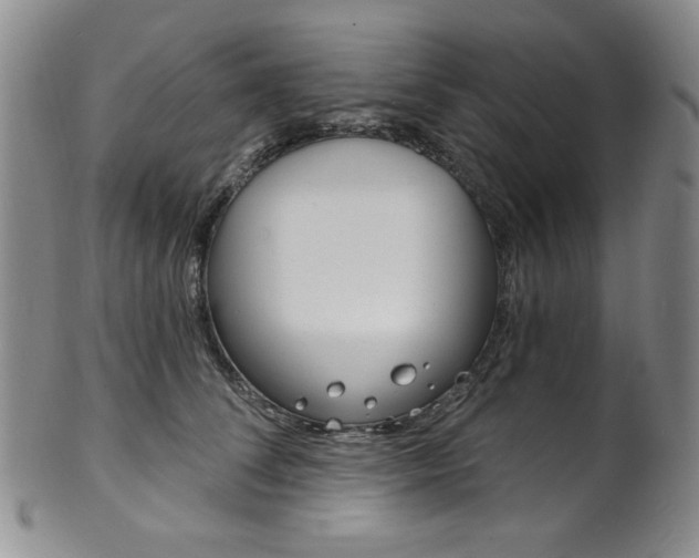 X0000101700708200807101537