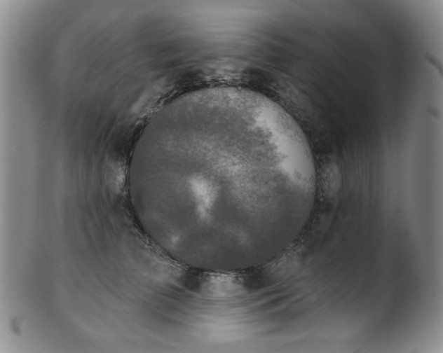 X0000101700709200807101537