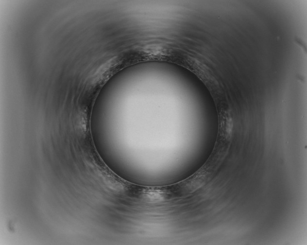 X0000101700710200807101537