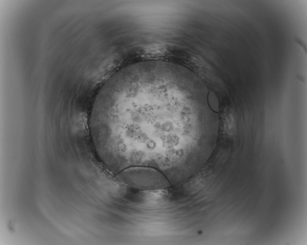 X0000101700711200807101537
